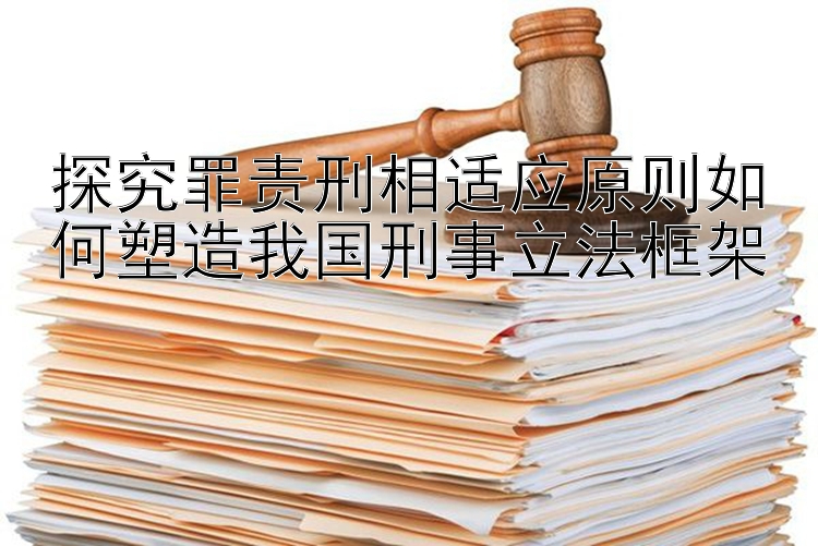 探究罪责刑相适应原则如何塑造我国刑事立法框架