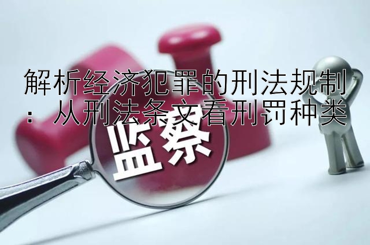 解析经济犯罪的刑法规制：从刑法条文看刑罚种类