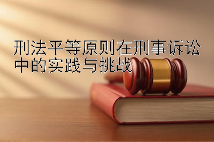 刑法平等原则在刑事诉讼中的实践与挑战