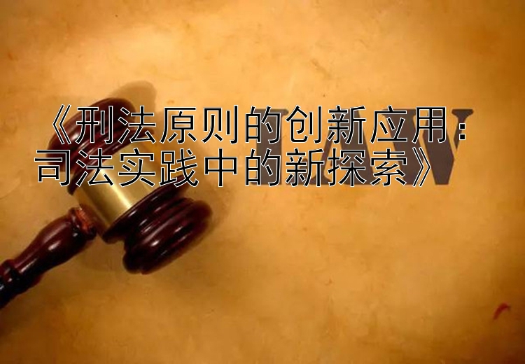 《刑法原则的创新应用：司法实践中的新探索》