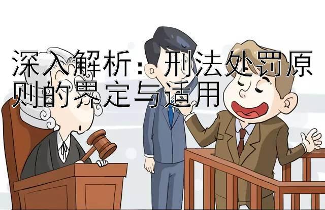 深入解析：刑法处罚原则的界定与适用