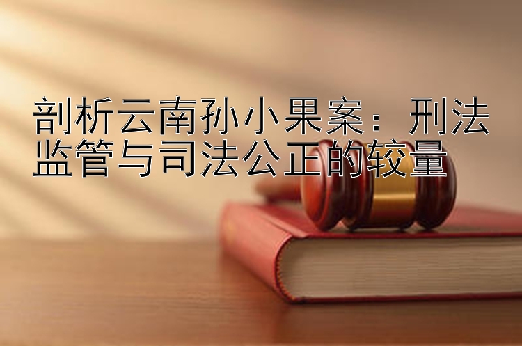 剖析云南孙小果案：刑法监管与司法公正的较量