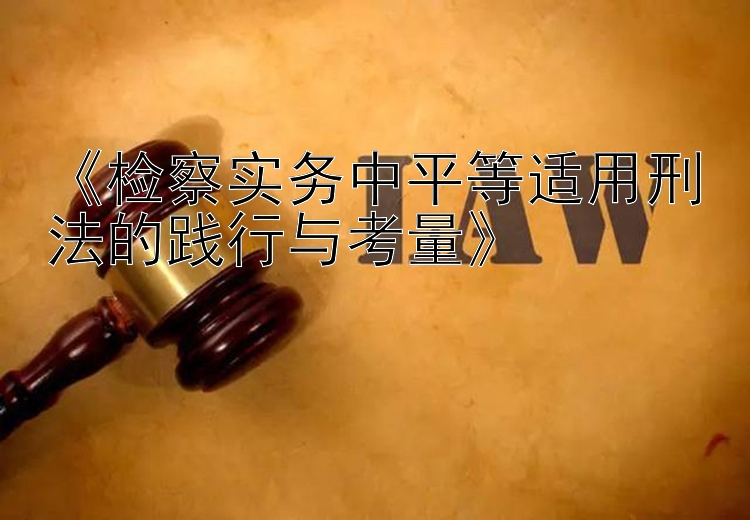 《检察实务中平等适用刑法的践行与考量》