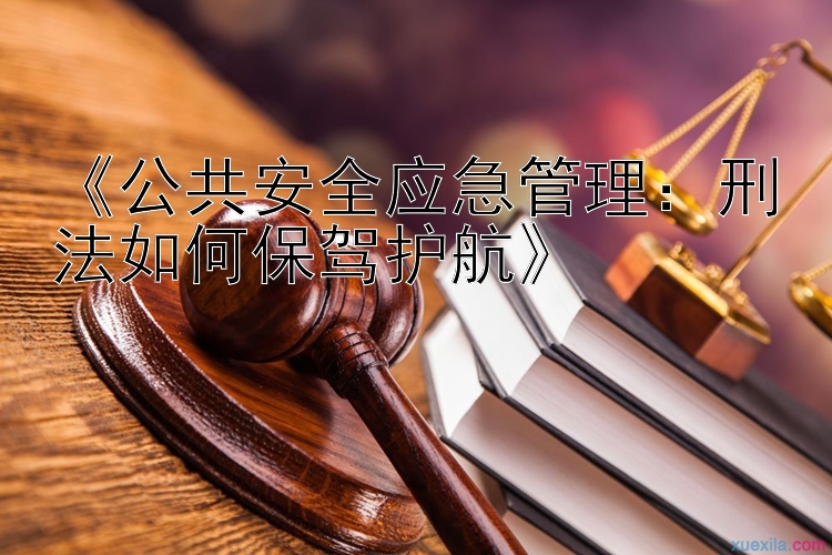 《公共安全应急管理：刑法如何保驾护航》