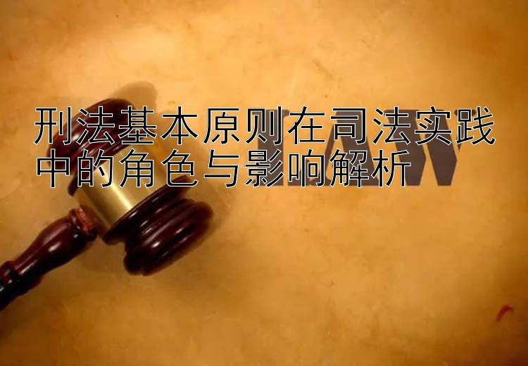 刑法基本原则在司法实践中的角色与影响解析