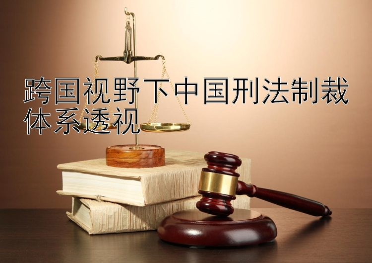 跨国视野下中国刑法制裁体系透视