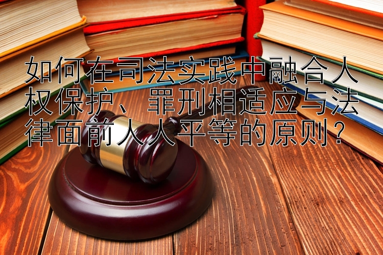 如何在司法实践中融合人权保护、罪刑相适应与法律面前人人平等的原则？