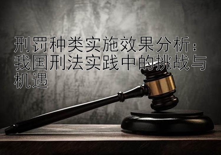 刑罚种类实施效果分析：我国刑法实践中的挑战与机遇