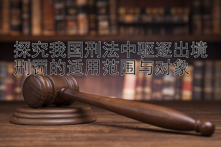 探究我国刑法中驱逐出境刑罚的适用范围与对象