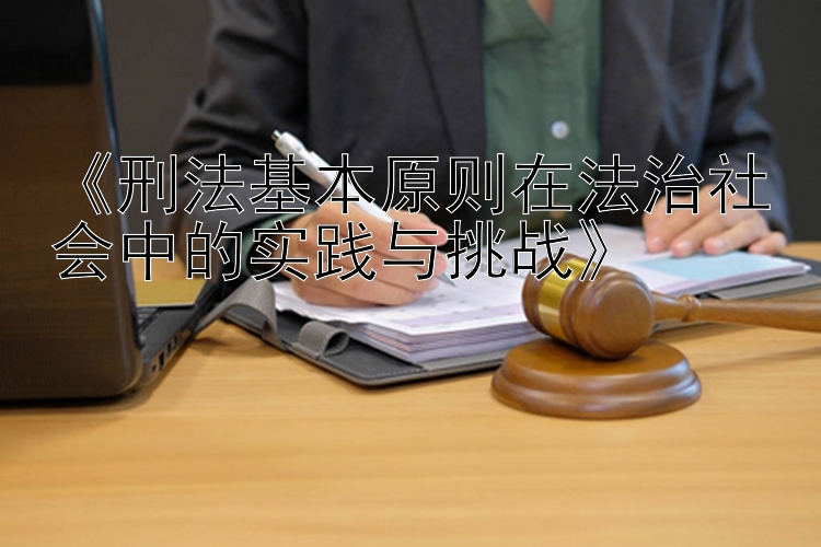 《刑法基本原则在法治社会中的实践与挑战》