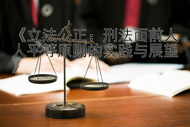 《立法公正：刑法面前人人平等原则的实践与展望》