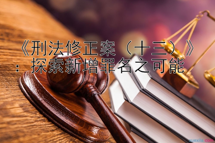 《刑法修正案（十三）》：探索新增罪名之可能