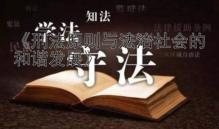 《刑法原则与法治社会的和谐发展》