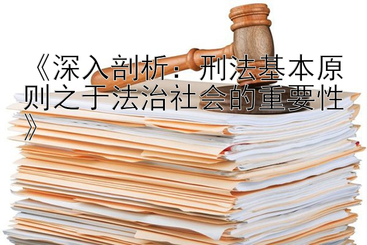 《深入剖析：刑法基本原则之于法治社会的重要性》