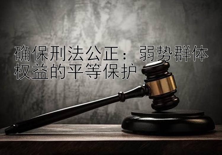 确保刑法公正：弱势群体权益的平等保护