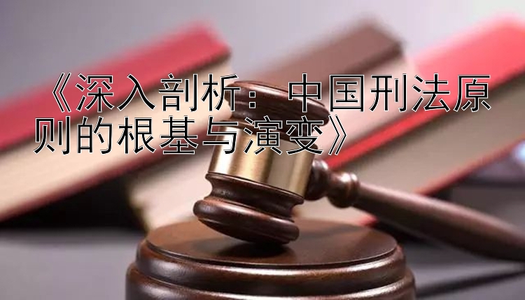 《深入剖析：中国刑法原则的根基与演变》