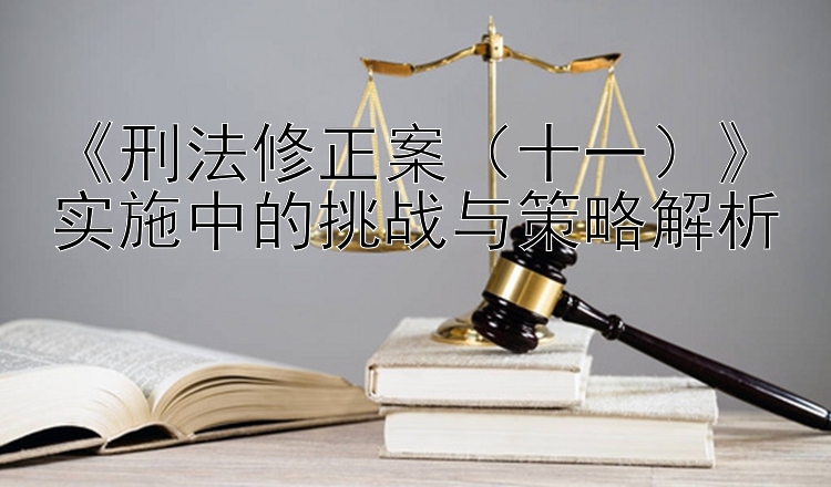 《刑法修正案（十一）》实施中的挑战与策略解析