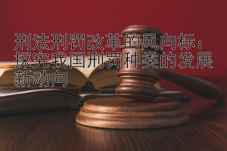 刑法刑罚改革的风向标：探究我国刑罚种类的发展新动向