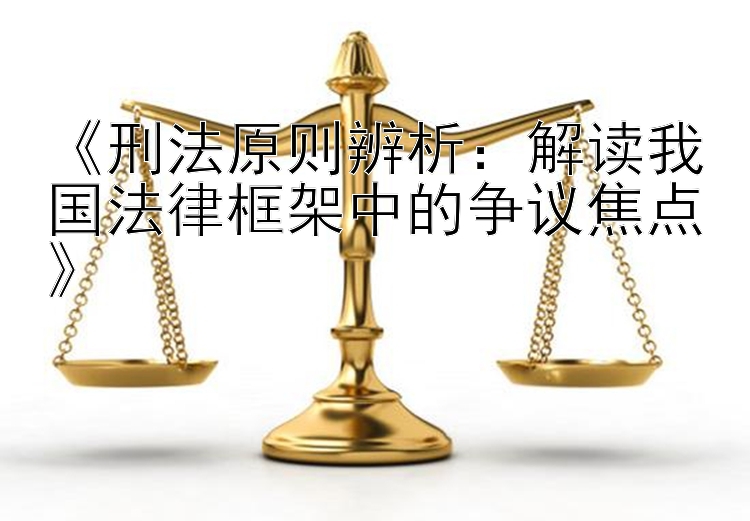 《刑法原则辨析：解读我国法律框架中的争议焦点》