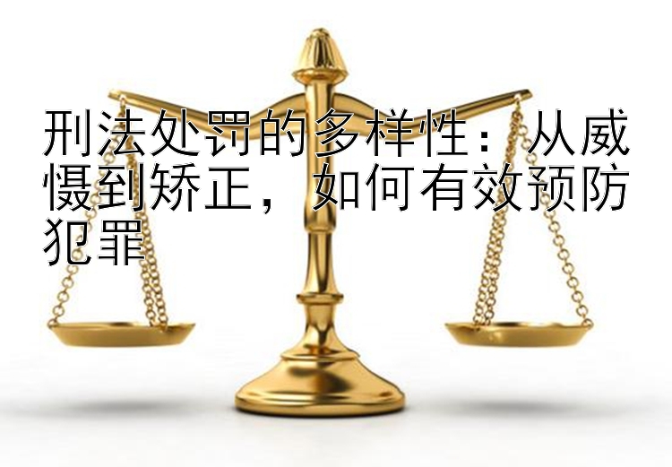 刑法处罚的多样性：从威慑到矫正，如何有效预防犯罪