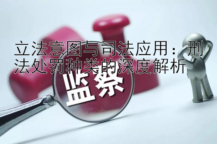 立法意图与司法应用：刑法处罚种类的深度解析