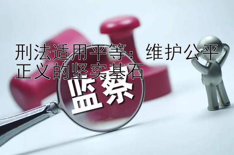 刑法适用平等：维护公平正义的坚实基石