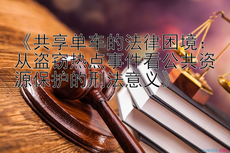 《共享单车的法律困境：从盗窃热点事件看公共资源保护的刑法意义》