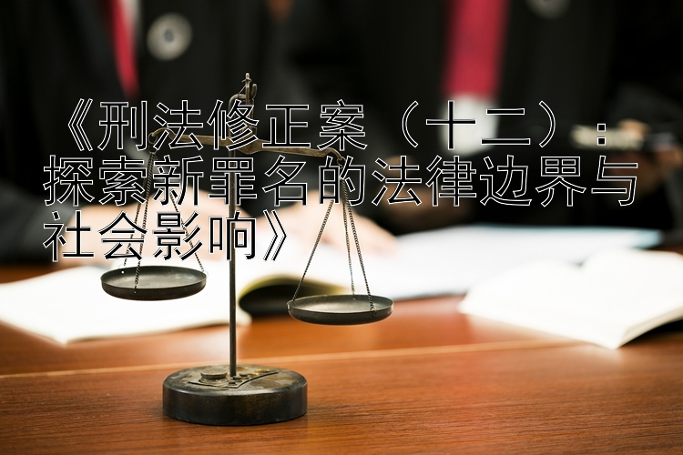 《刑法修正案（十二）：探索新罪名的法律边界与社会影响》