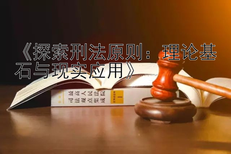 《探索刑法原则：理论基石与现实应用》