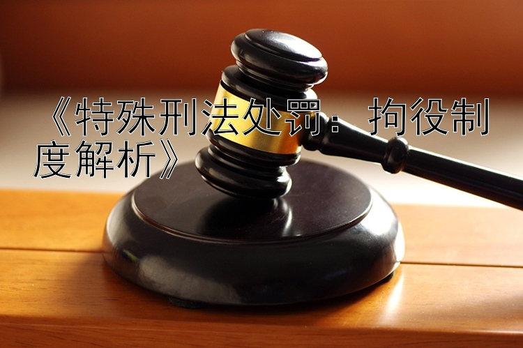 《特殊刑法处罚：拘役制度解析》