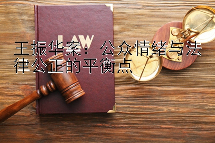 王振华案：公众情绪与法律公正的平衡点