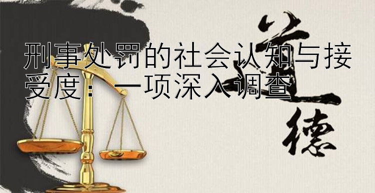 刑事处罚的社会认知与接受度：一项深入调查