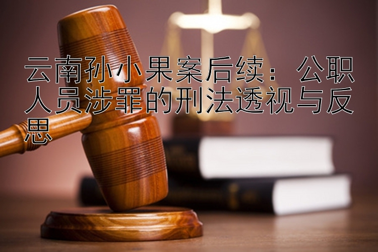 云南孙小果案后续：公职人员涉罪的刑法透视与反思