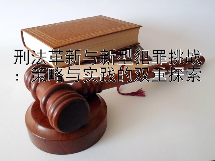 刑法革新与新型犯罪挑战：策略与实践的双重探索