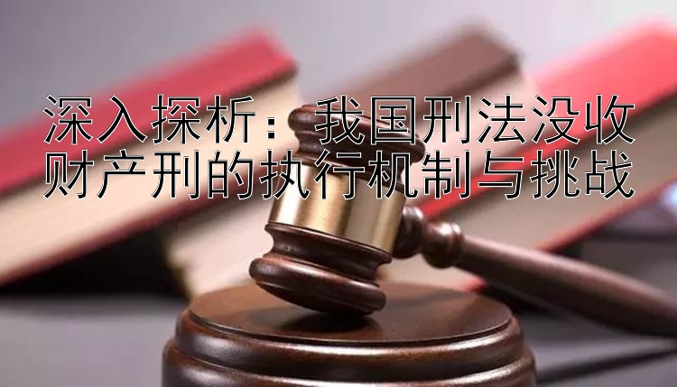 深入探析：我国刑法没收财产刑的执行机制与挑战