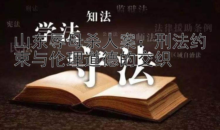 山东辱母杀人案：刑法约束与伦理道德的交织