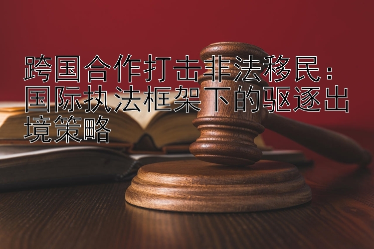 跨国合作打击非法移民：国际执法框架下的驱逐出境策略