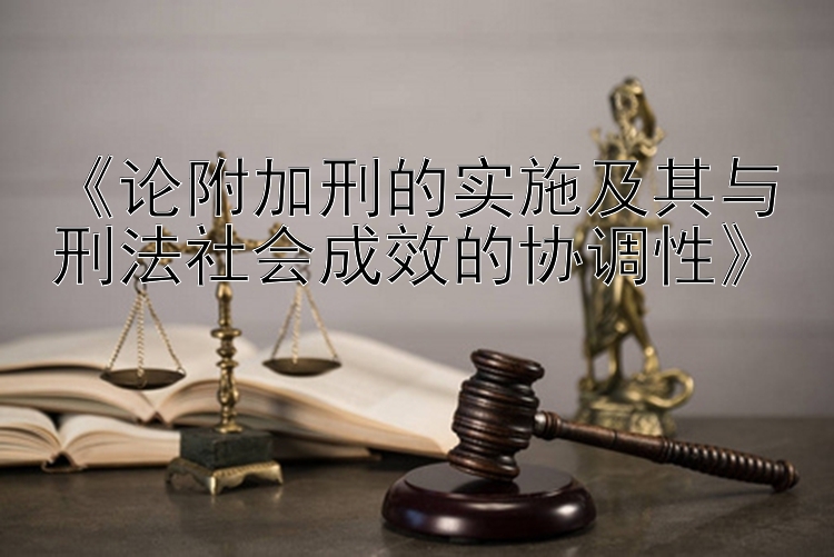 《论附加刑的实施及其与刑法社会成效的协调性》