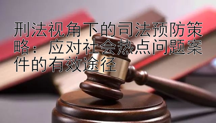 刑法视角下的司法预防策略：应对社会热点问题案件的有效途径