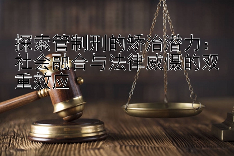 探索管制刑的矫治潜力：社会融合与法律威慑的双重效应