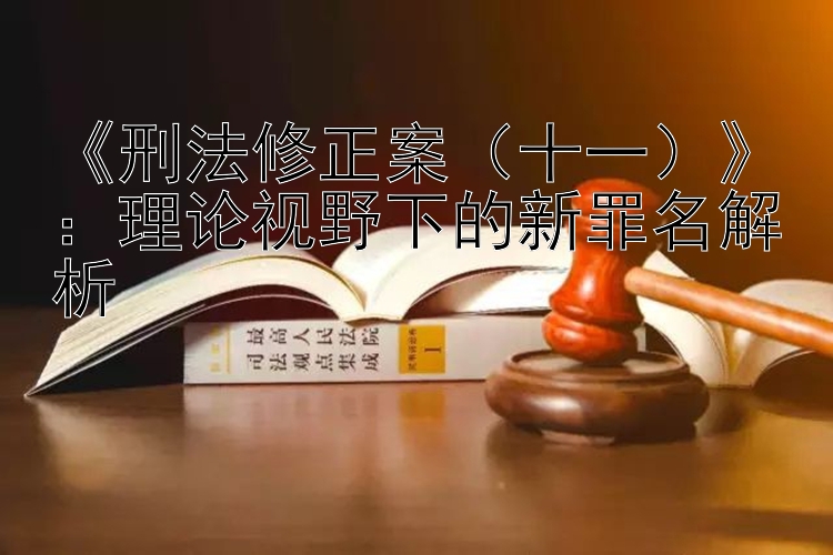 《刑法修正案（十一）》：理论视野下的新罪名解析