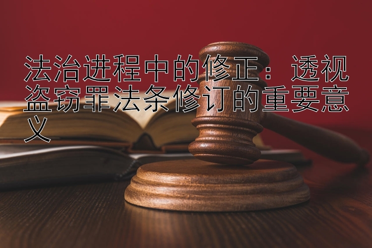 法治进程中的修正：透视盗窃罪法条修订的重要意义