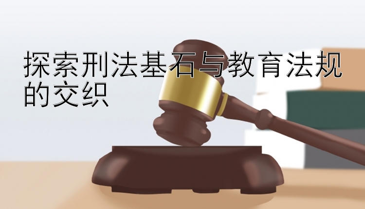 探索刑法基石与教育法规的交织