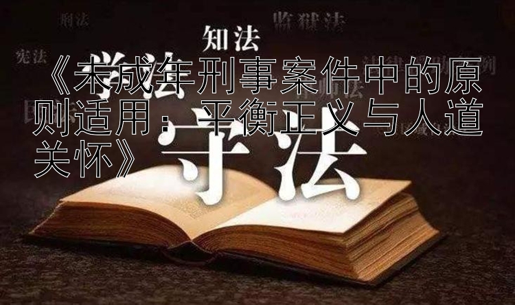 《未成年刑事案件中的原则适用：平衡正义与人道关怀》