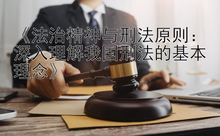 《法治精神与刑法原则：深入理解我国刑法的基本理念》