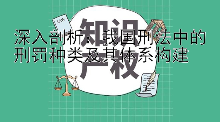 深入剖析：我国刑法中的刑罚种类及其体系构建