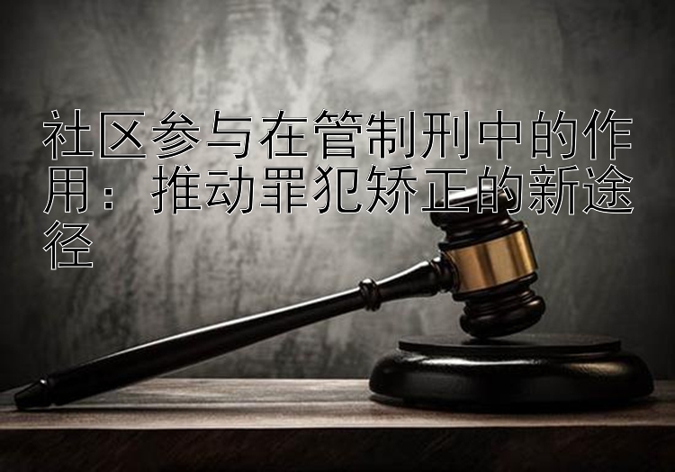 社区参与在管制刑中的作用：推动罪犯矫正的新途径