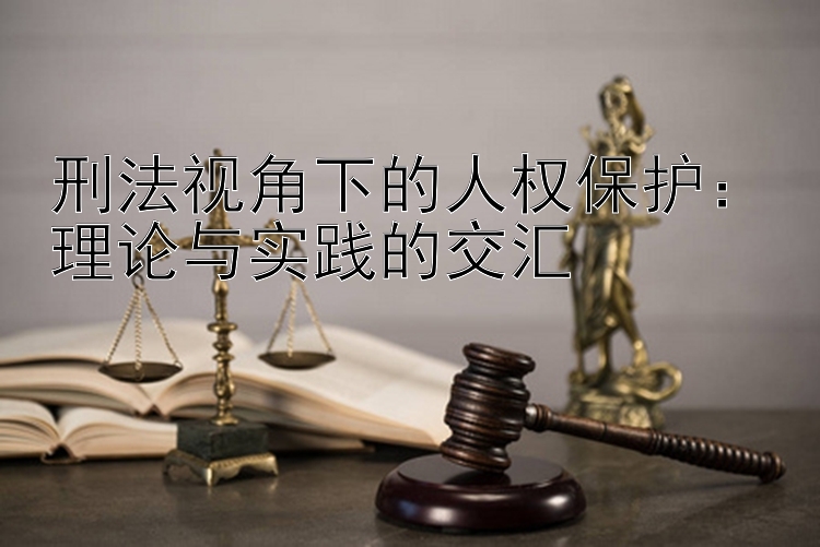 刑法视角下的人权保护：理论与实践的交汇