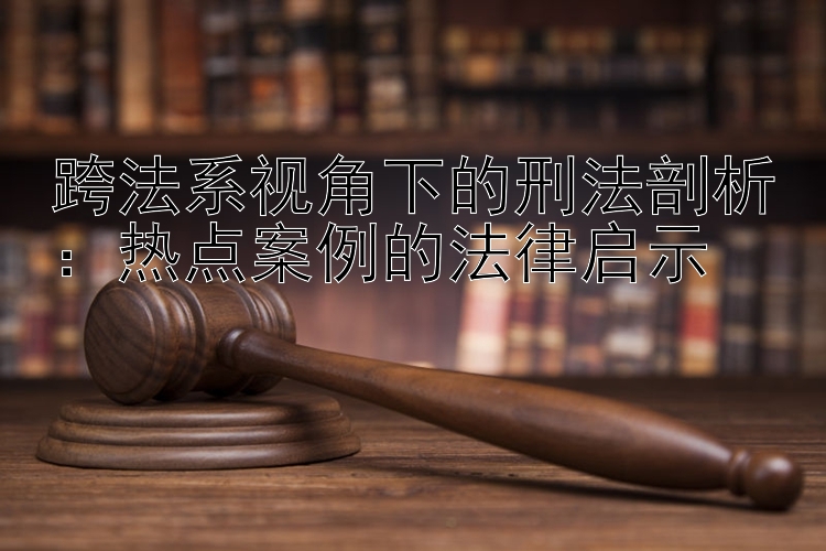 跨法系视角下的刑法剖析：热点案例的法律启示