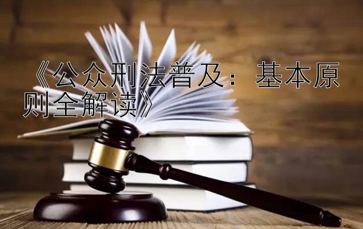 《公众刑法普及：基本原则全解读》